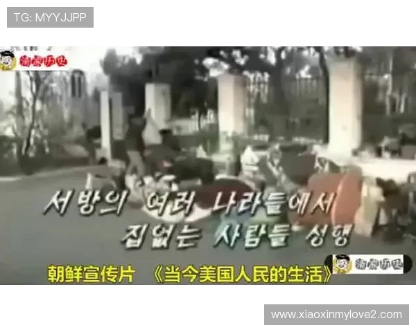 高定价致美队揭幕战票滞销风波 高定价致美队揭幕战票滞销风波