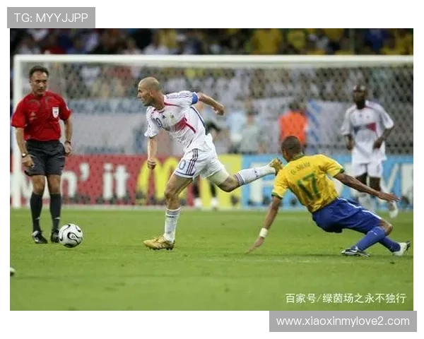 齐祖头槌真相曝光 马特拉齐回击激怒原因