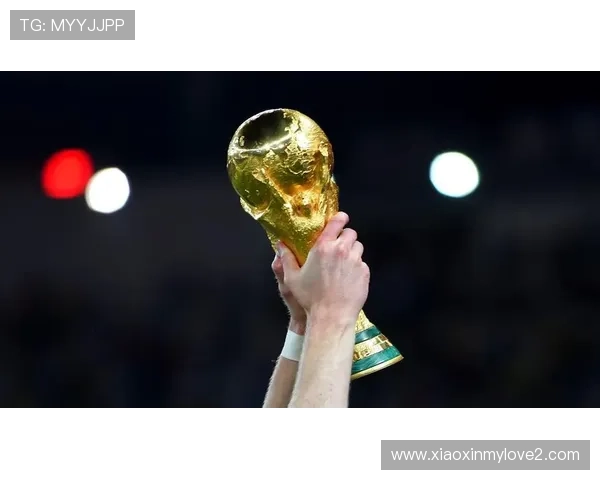 齐达内落幕意大利逆转加冕 齐达内落幕意大利逆转加冕